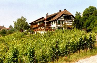 A farmhouse and vineyard in Rüdlingen
