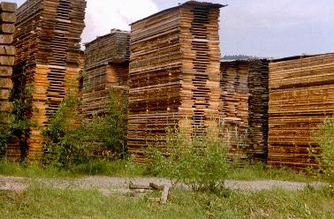 Stacks of wood curing in Baltenswil